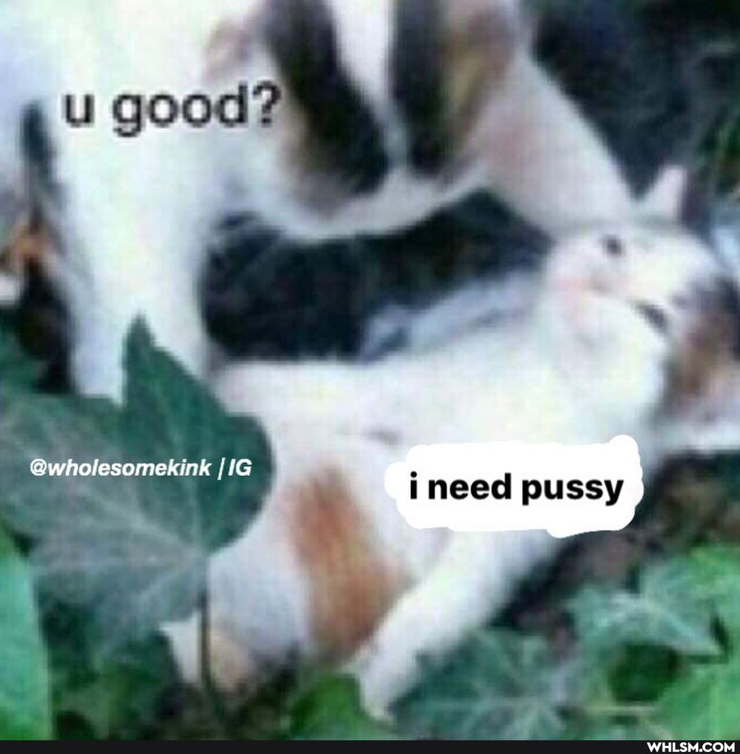 EL
Qwholesomekink HG