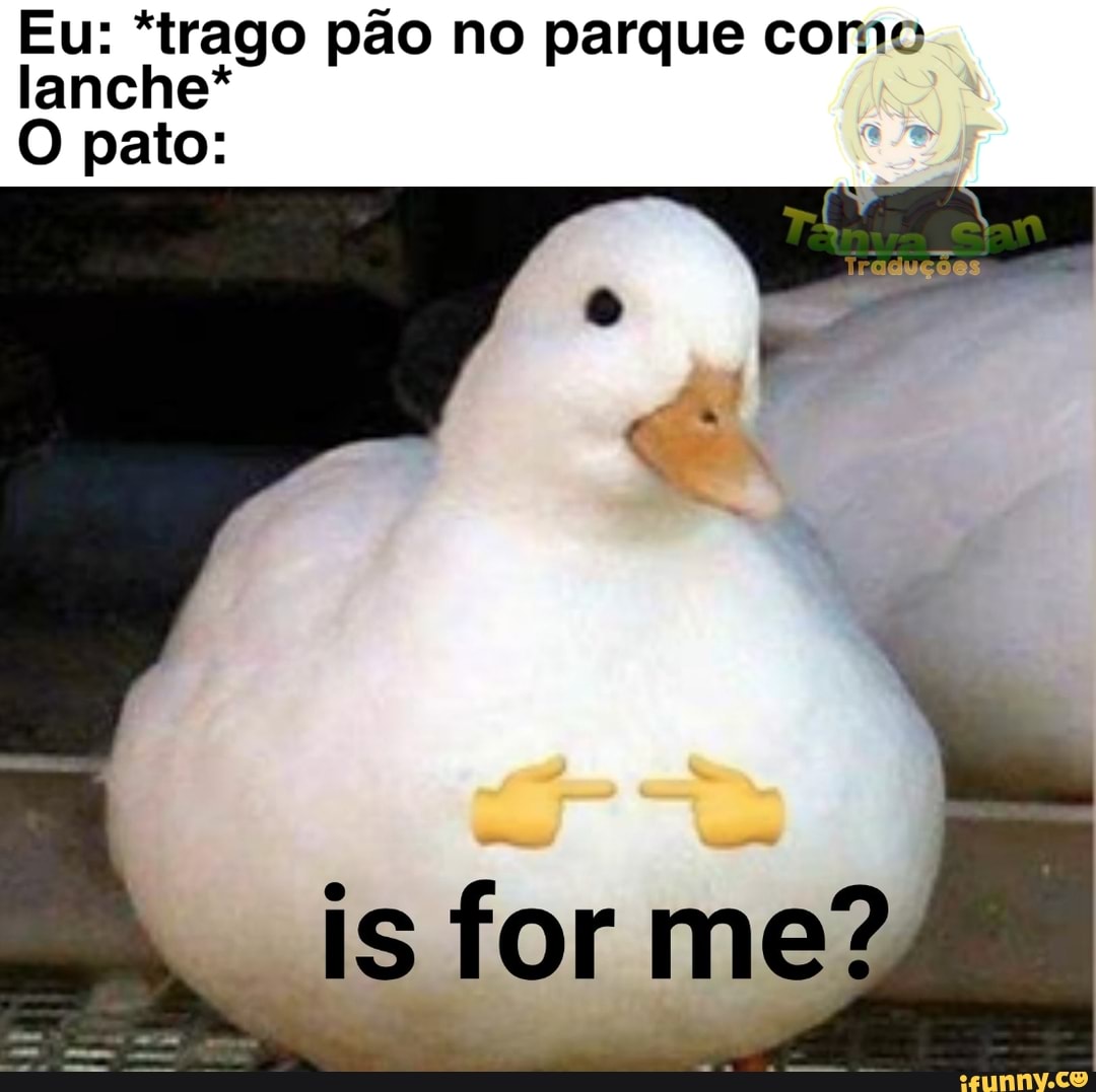 Eu: "trago pão no parque como lanche*
O pato:
is for me?