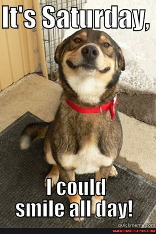Its Satuedaye
could smile all tay!