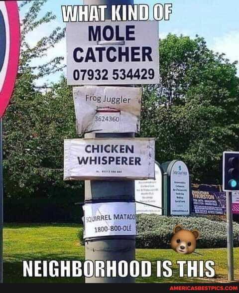 WHAT KIND
_ CATCHER
07932 534429
Frog Juggler
3624360
CHICKEN WHISPERER