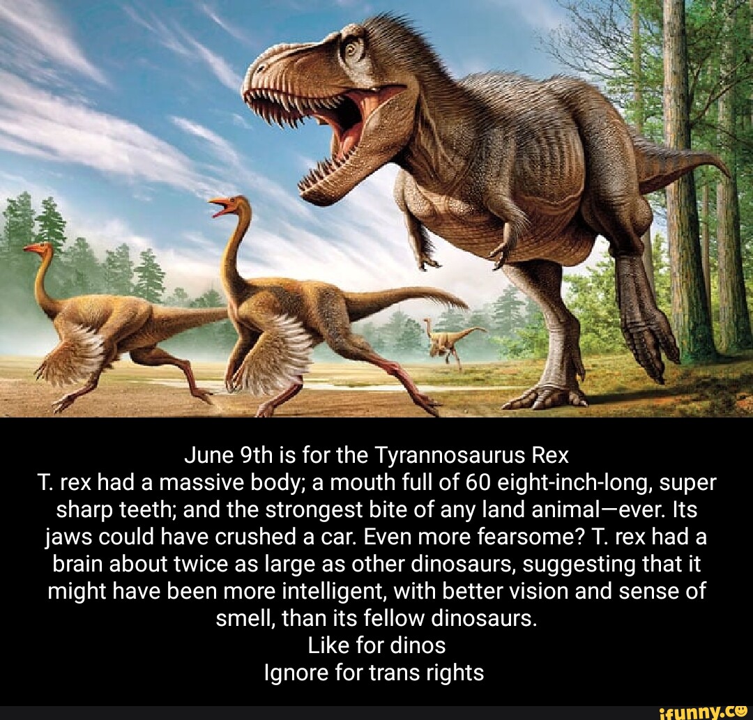 June Is For The Tyrannosaurus Rex T. Rex Had A Massive Body; A Mouth 