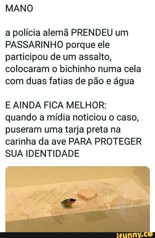 MANO
a polícia alemã PRENDEU um
PASSARINHO porque ele participou de um assalto, colocaram o bichinho numa cela com duas fatias de pão e água
E AINDA FICA MELHOR:
quando a mídia noticiou o caso, puseram uma tarja preta na carinha da ave PARA PROTEGER SUA IDENTIDADE