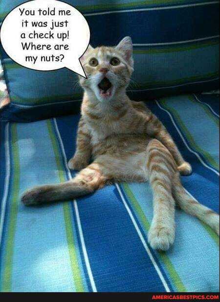 You told me it was just a check up!
Where are my nuts?