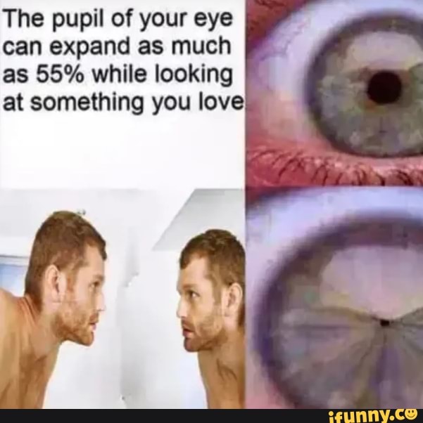 The pupil of your eye can expand as much is 55% will]: locking at sºmething  you love. - iFunny