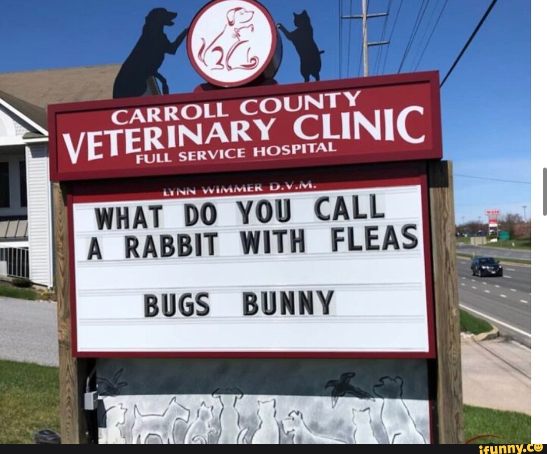 CLINIC I FULL SERVICE HOSPITAL WHAT DO YOU CALL A RABBIT WITH FLEAS