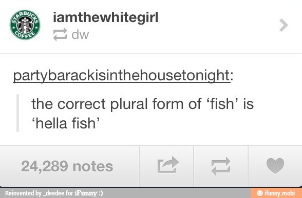 artybarackisinthehousetonight-the-correct-plural-form-of-fish-is-hella-fish-24-289-notes