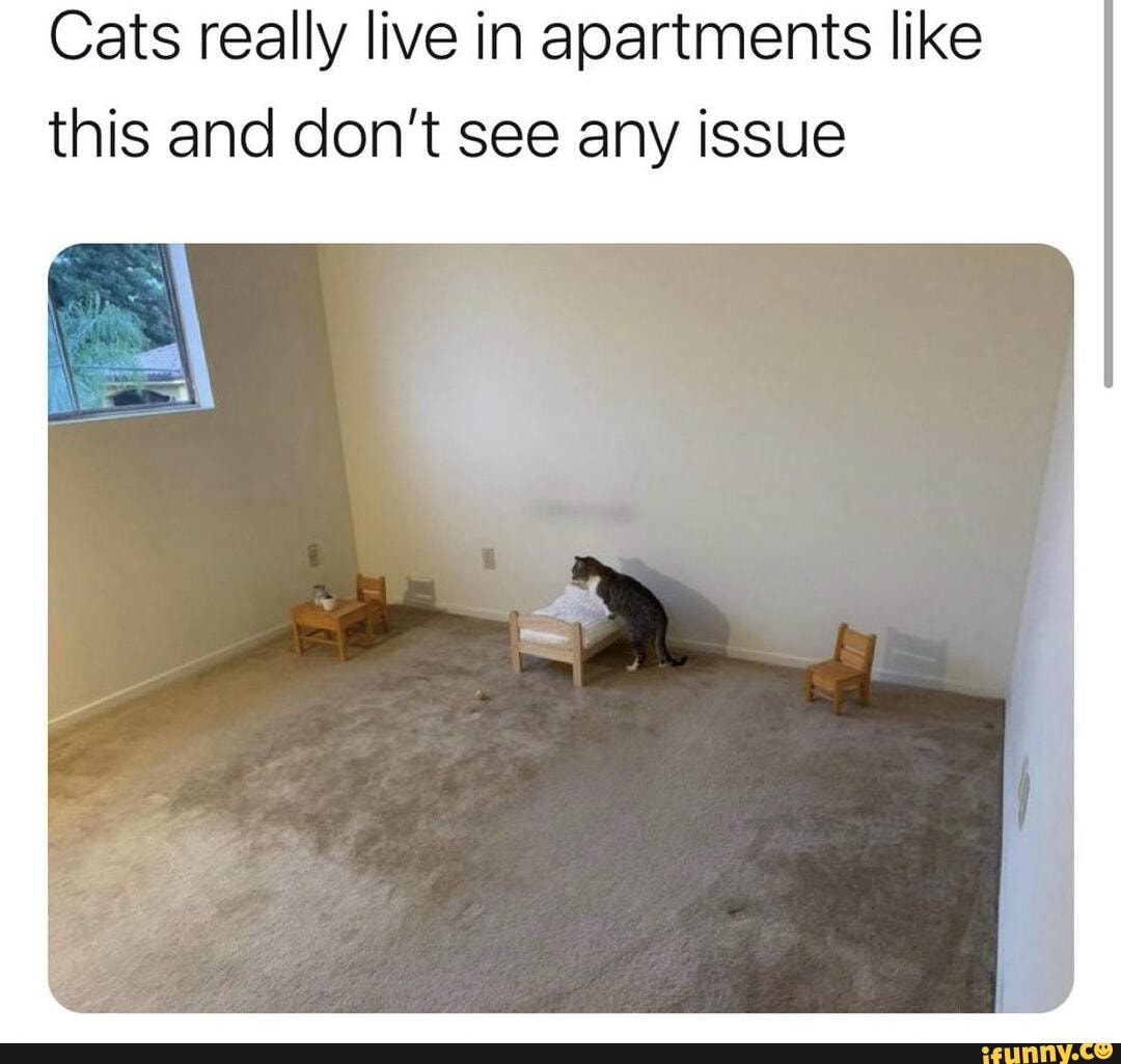 Apartments memes. Best Collection of funny Apartments pictures on iFunny