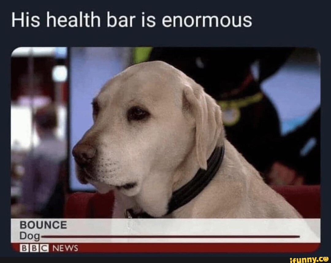 His health bar is enormous OUNGE Dog NEWS iFunny Brazil