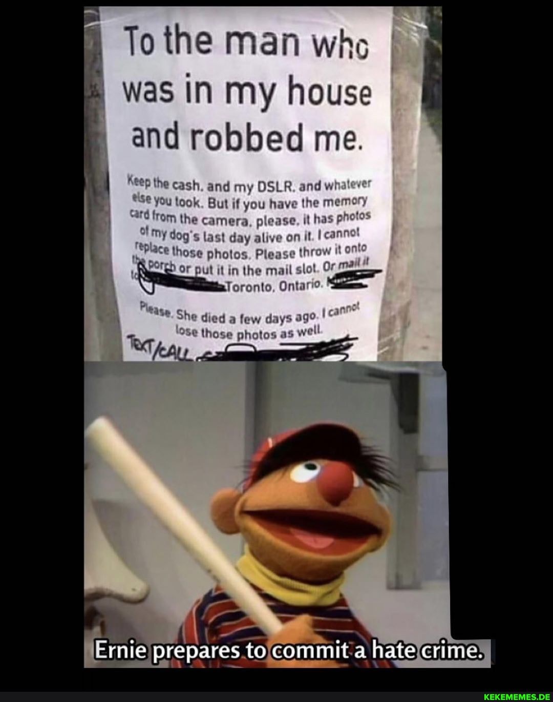 To the man who was in my house I I and robbed me.
my
you took. But if you have the
Card from
lrom the camera, please dog's last day alive on
those photos, Please thro
OF put it in the mail slot
Toronto, Ontarie
She die
da few days '
those photos as we"
ww
\ Th
Emie prepares commit hale