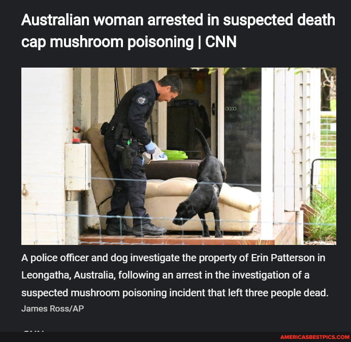 Australian Woman Arrested In Suspected Death Cap Mushroom Poisoning I Cnn A Police Officer And 