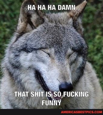 HA HA HA DAMN
THAT SHIT IS SO FUCKING FUNNY
