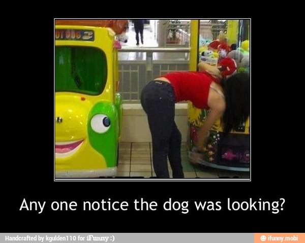 Any one notice the dog was looking? - Any one notice the dog was looking?