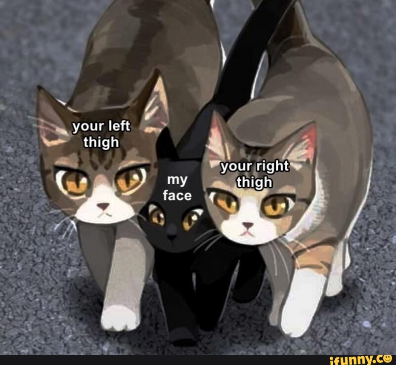 Your Left Thigh Your Right AL Omy Thigh A Face IFunny Your Left Thigh Your Right AL Omy Thigh A Face IFunny