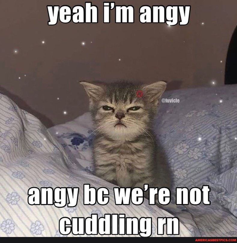 yeah i'm angy
angy he we're not eniddling tn