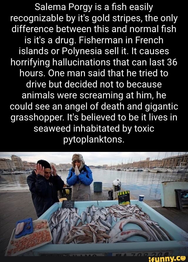 Fishermans memes. Best Collection of funny Fishermans pictures on iFunny