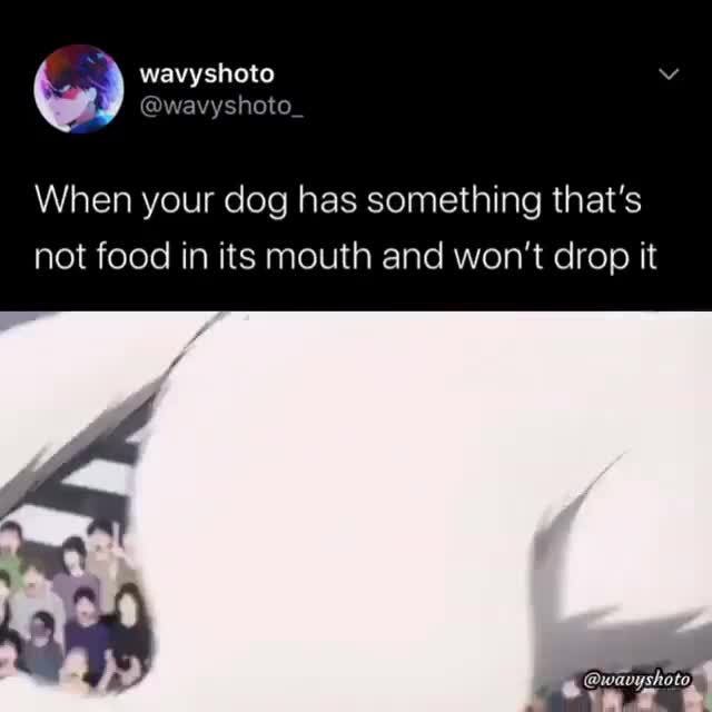 When your dog has something that's not food in its mouth and won't drop