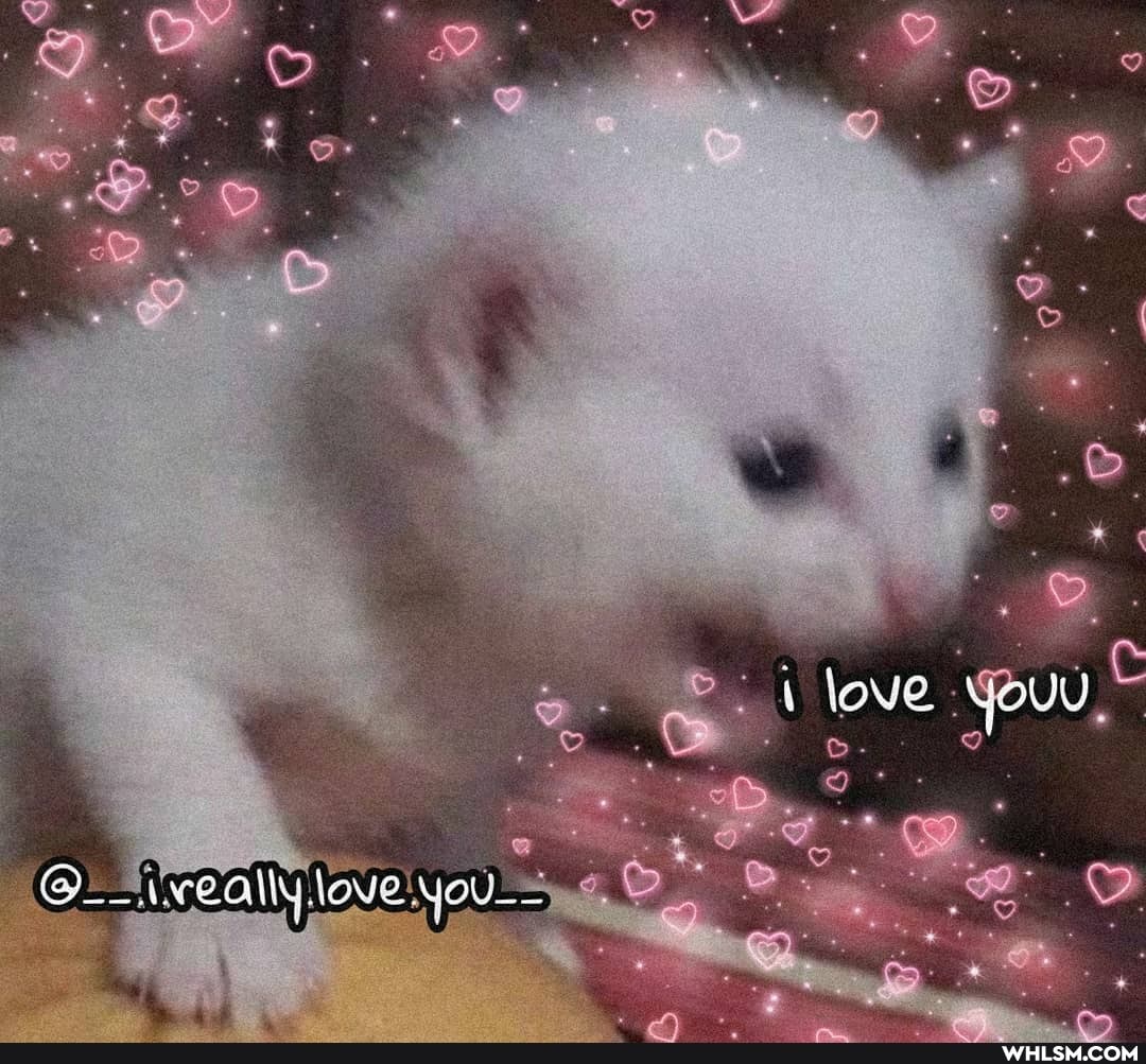 we ails love:
love
YOU__