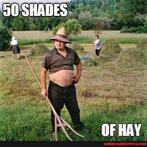 50 SHADES OF HAY - America's best pics and videos