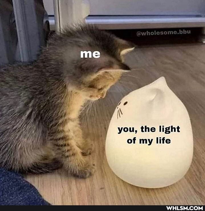 me
you, the light of my life