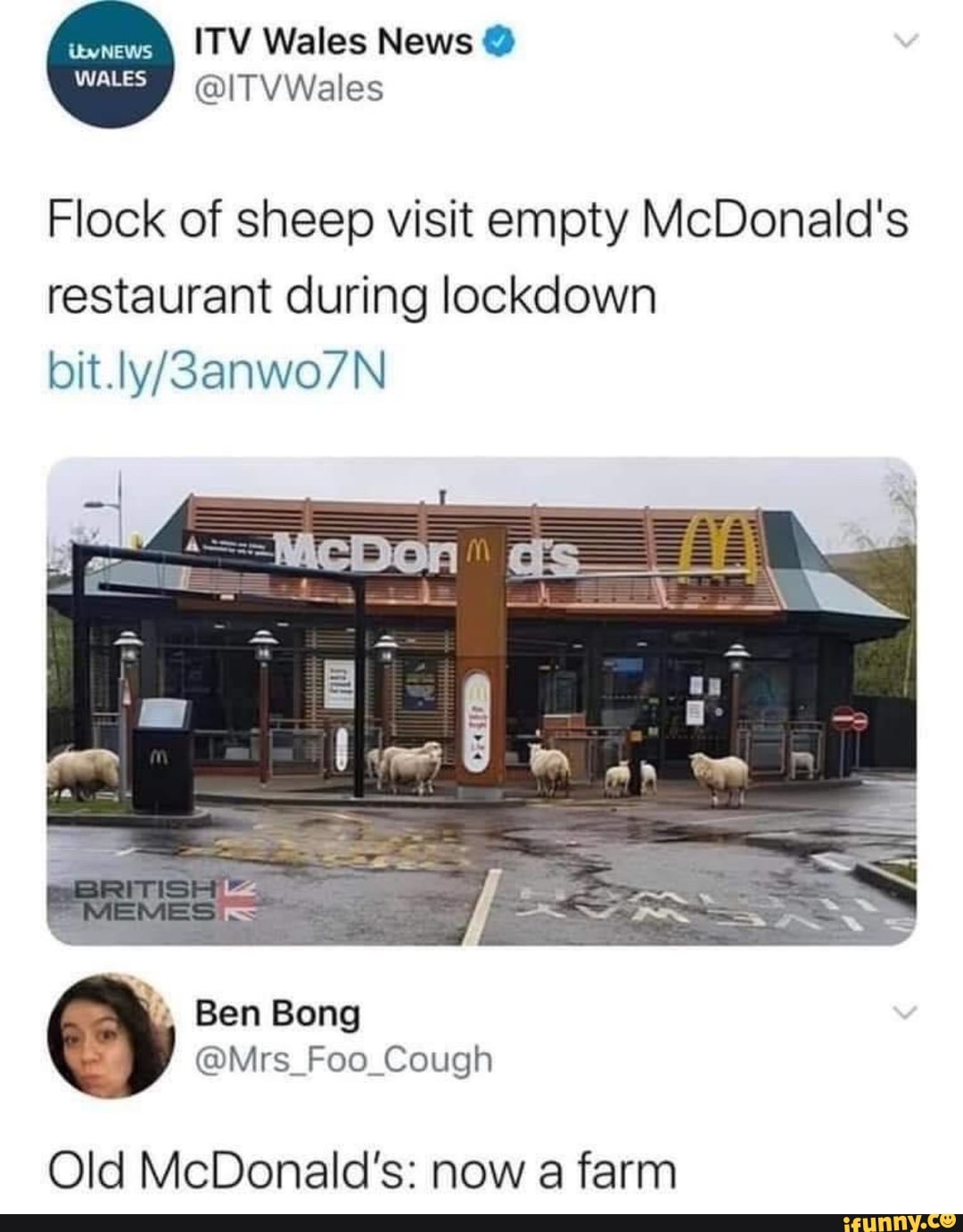 farm
Flock of sheep visit empty McDonald's
restaurant during lockdown
Old McDonald's: now a