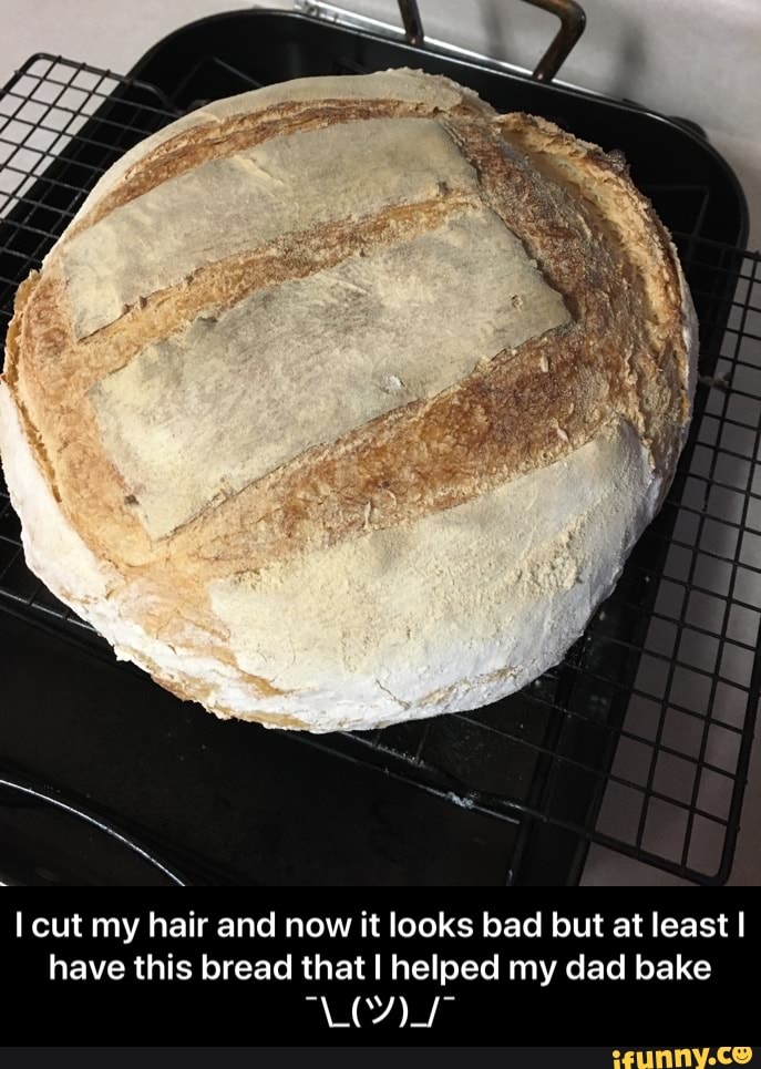 I cut my hair and now it looks bad but at least I
have this bread that I helped my dad bake - I cut my hair and now it looks bad but at least I have this bread that I helped my dad bake ¯\_(ツ)_/¯