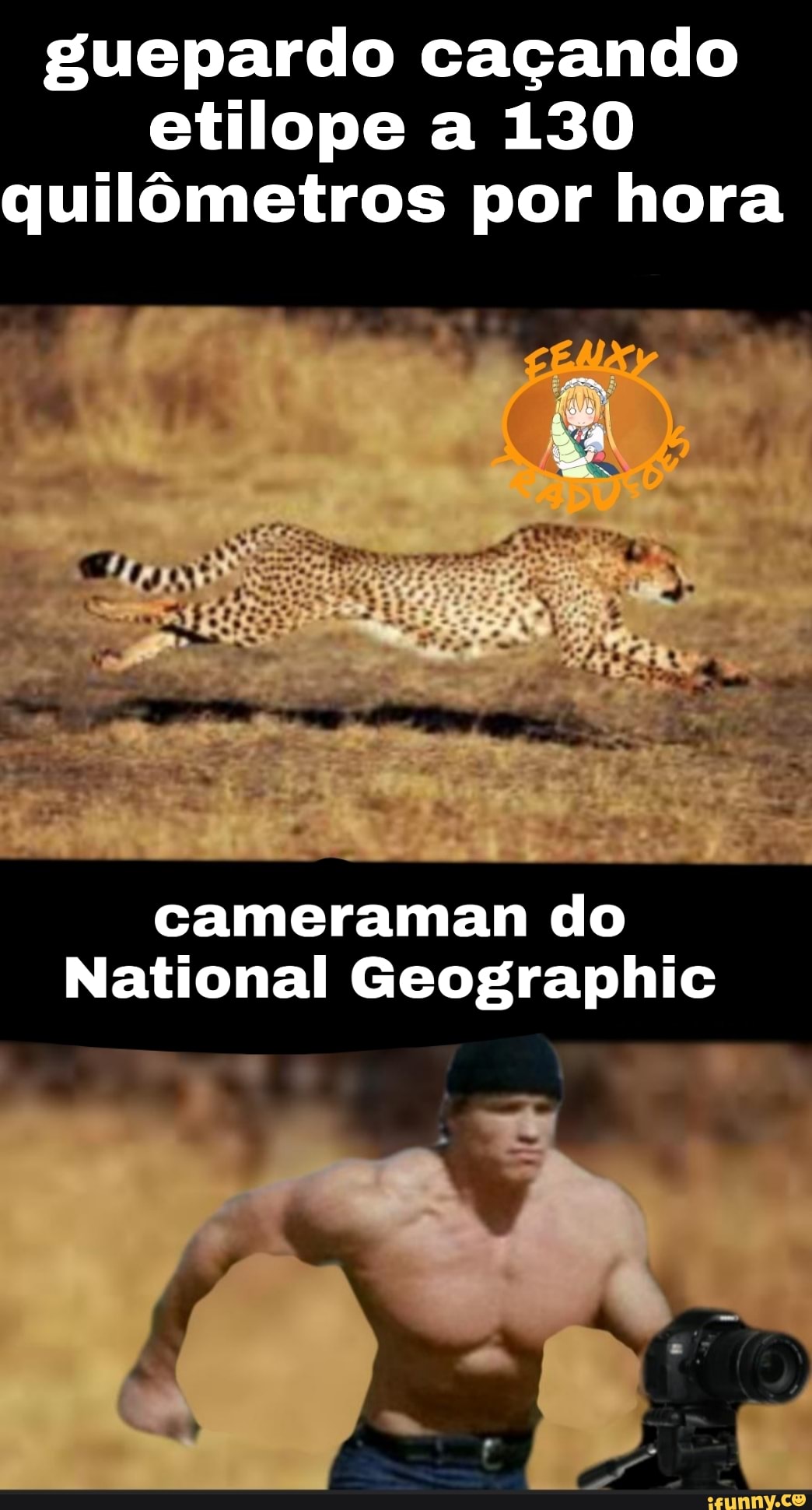 guepardo caçando etilope a 130 quilômetros por hora
cameraman do
National Geographic