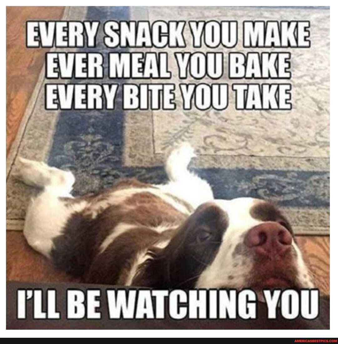 EVERY SNACK YOU MAKE EVER MEAL YOU BAKE EVERY BITE YOU TAKE
BE WATCHING YOU