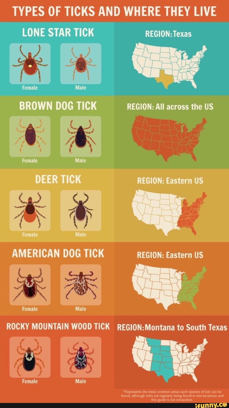 Born And Bred: What Makes A Texas Panhandle Native Tick?