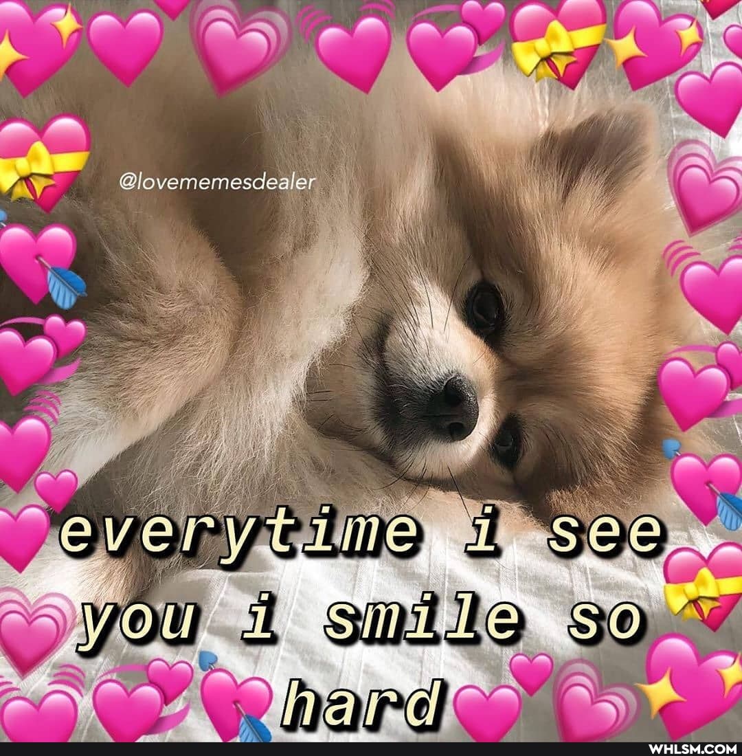 @lovememesdealer AS
ni