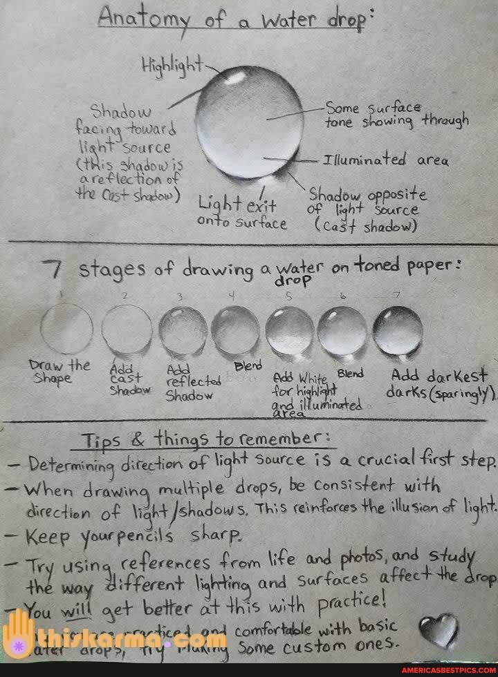 Anatomy of Water drop
Highlight
Shadow Some surface
Paeing toward tone showing through
nt source
Ris shadow ave Light exit Sh id,
Cist shalow) Light exit of
Onto Surface shadow)
Tiluminated areq
stages of drawing water on toned poper:
DOG eeee
Draw the A White Ber Add darKest
Tips & things to remember:
- Determining ditection of Nigh* Source a crucial first step
-When drawing multi le drops, be Consistent with
This ceinforees the illusion f light
- Keep your Pencils sharp.
= Tr, usin ife and photoS, and Stu
iFferent ierting and SurfoceS You will better at this with practice! reyticed comfortdble with basic I