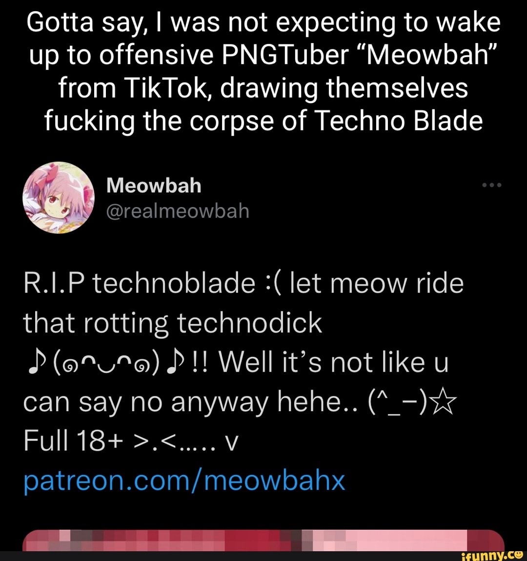 R.1.P technoblade let meow ride that rotting techned Well it's not