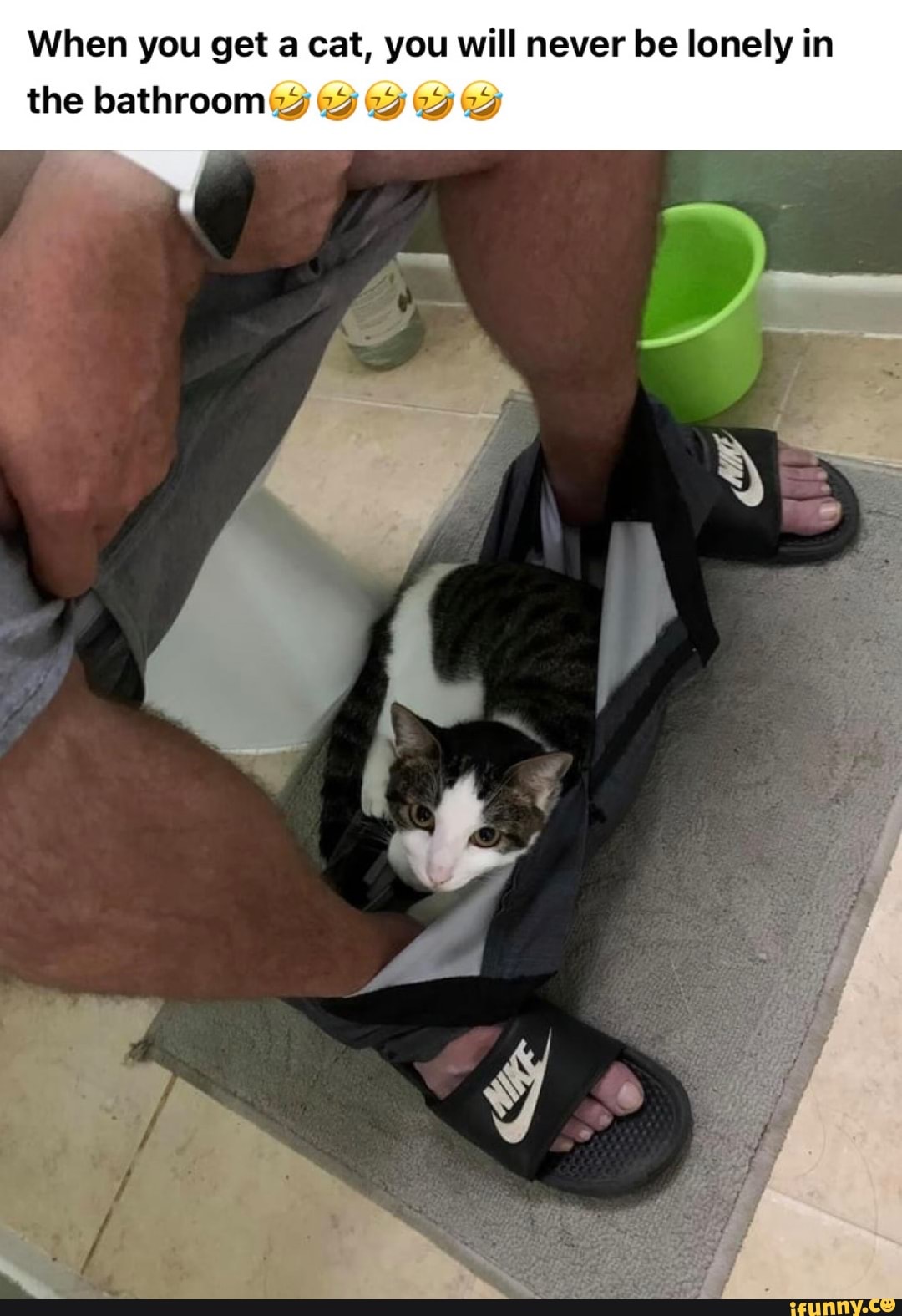 When you get a cat, you will never be lonely in
the bathroom
