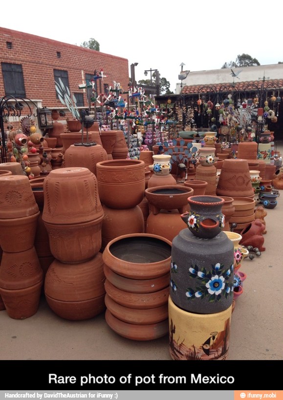 Rare photo of pot from Mexico - Rare photo of pot from Mexico