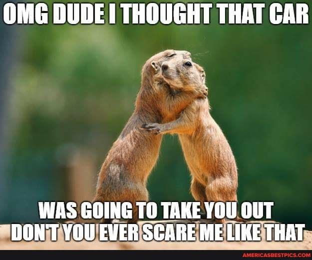 OMG DUDE THOUGHT THAT CAR
WAS GOING TO TAKE YOU OUT DON'T YOU EVER SGARE ME LIKE THAT