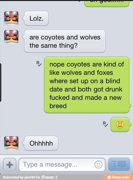 ti
Ea
are coyotes and wolves
the same thing?
I nope coyotes are kind of
like wolves and foxes
where set up on a blind
date and both got drunk
fucked and made a new
breed