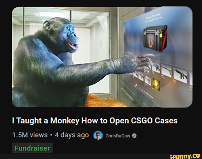 I Taught a Monkey How to Open CSGO Cases 1.5M views 4 days ago