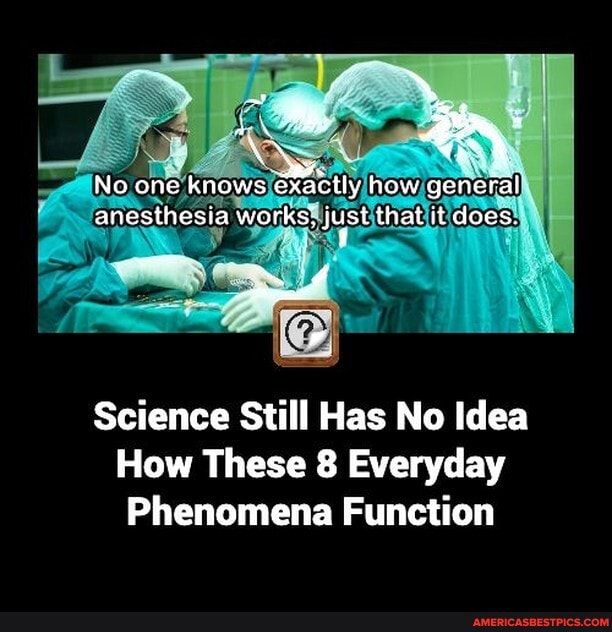 Anesthesia memes. Best Collection of funny Anesthesia pictures on America's  best pics and videos