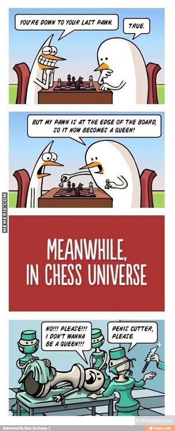 MEANWHILE,
IN CHESS UNIVERSE
I
I
PENIS CUTTER,
1 DON'T WANNA 9) PLEASE.