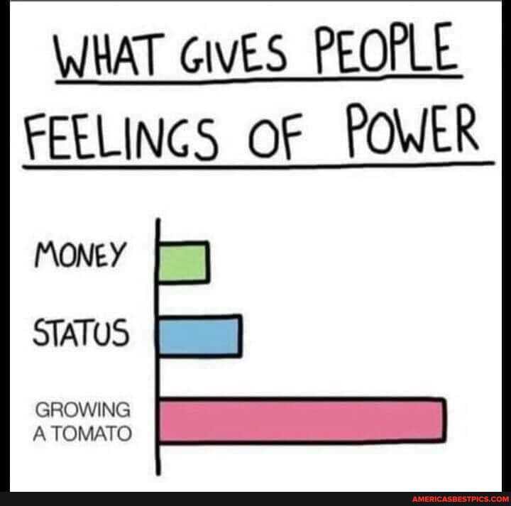 WHAT GIVES PEOPLE FEELINGS OF POWER
MONEY STATUS
GROWING A TOMATO