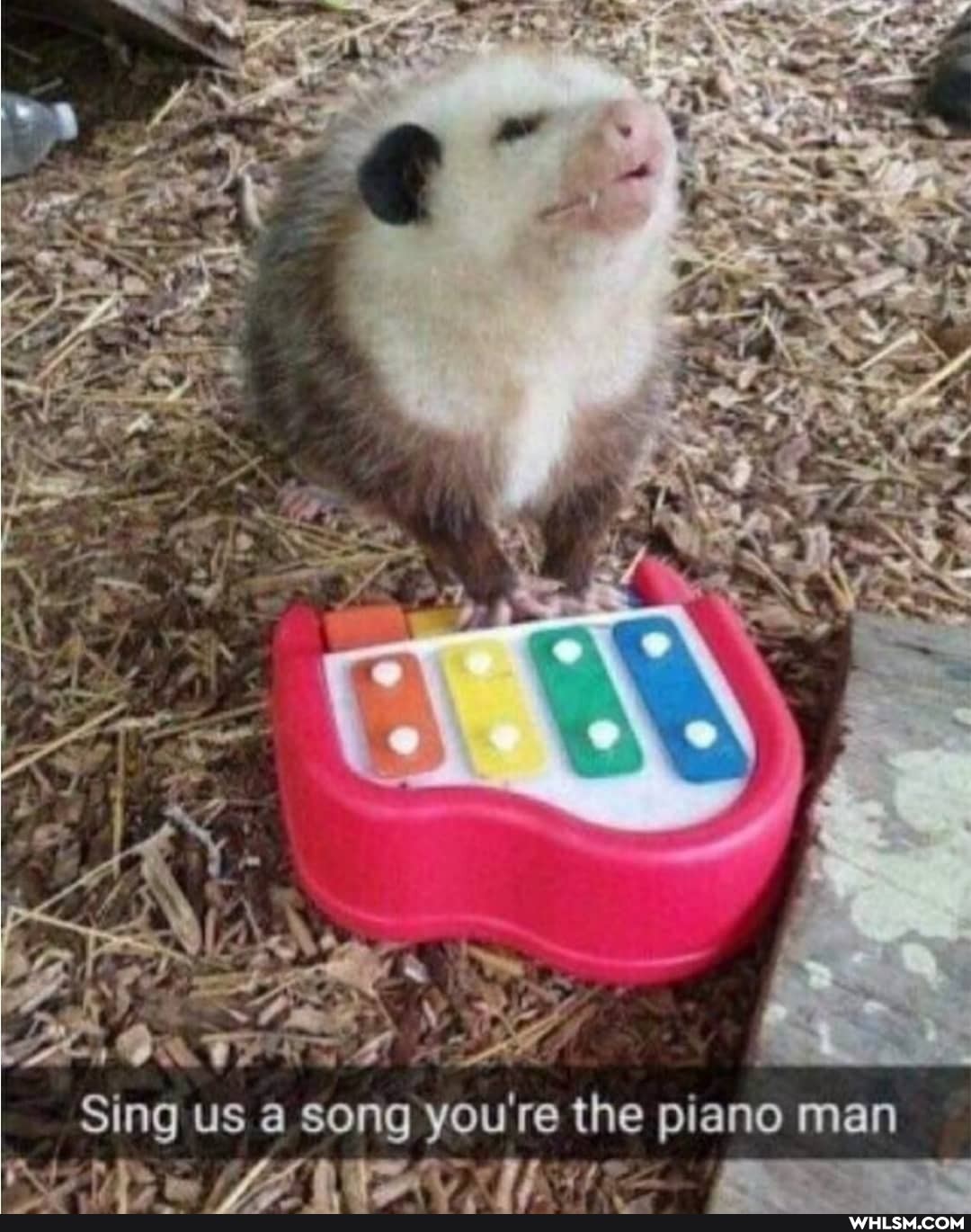 BE
Sing us a song you're the piano man