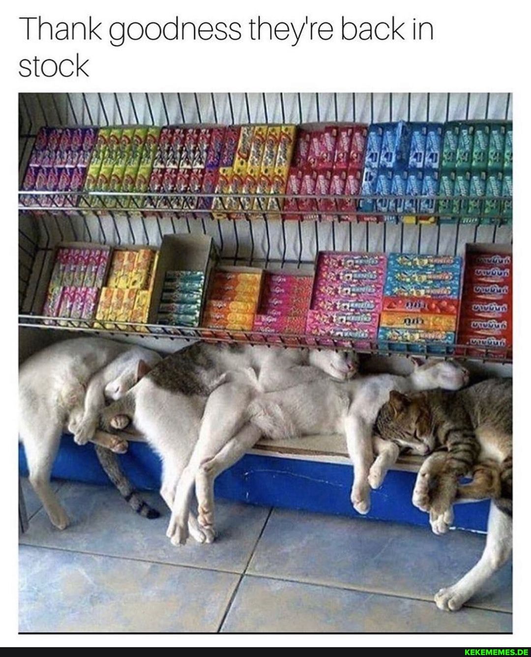 Thank goodness they're back in stock
