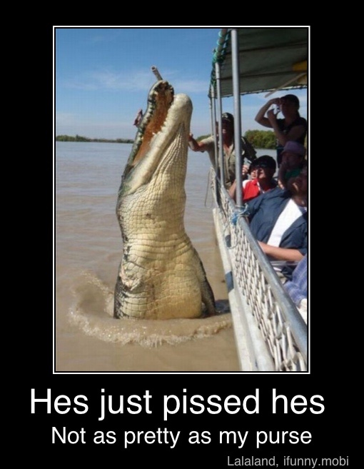 Hes just pissed hes
Not as pretty as my purse - Hes just pissed hes
Not as pretty as my purse