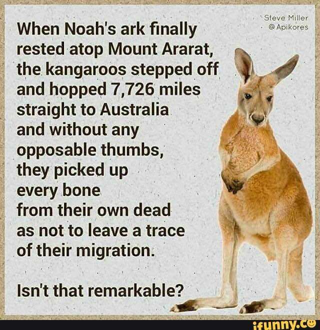Noahs_ark memes. Best Collection of funny Noahs_ark pictures on iFunny