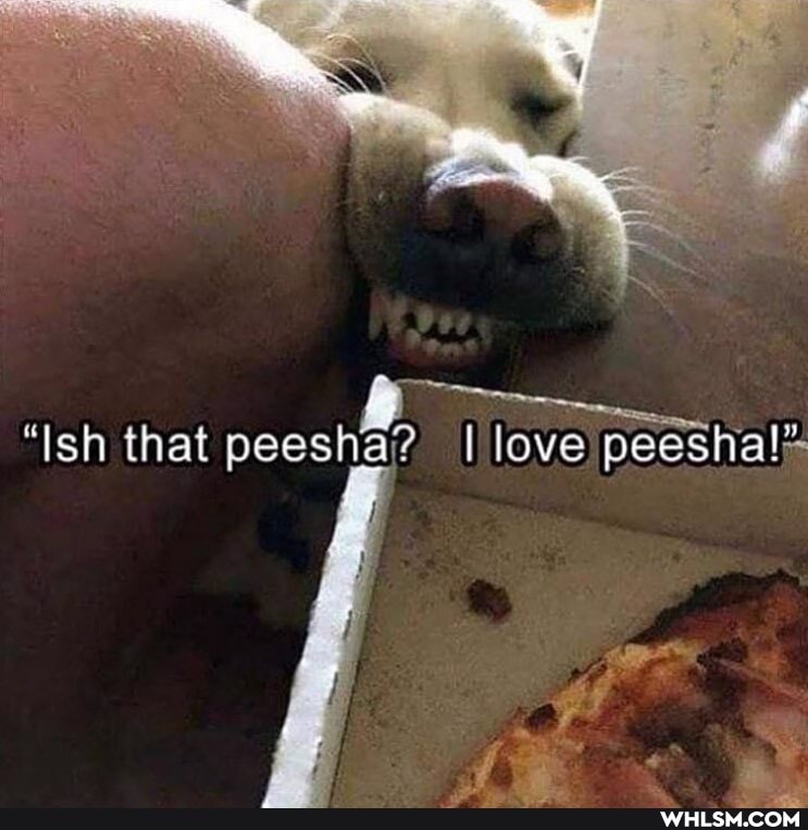 "Ish that peesha?