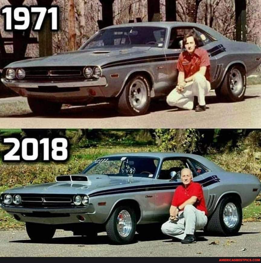 fell, love, stays, 1971, 2018, classic, mus