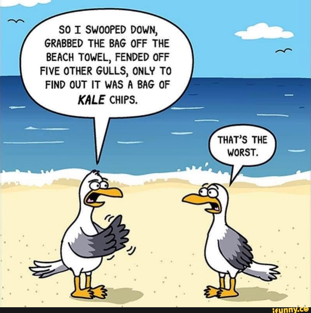 Swooped memes. Best Collection of funny Swooped pictures on iFunny