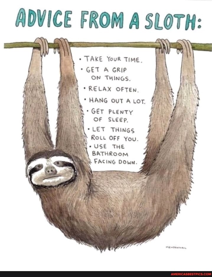 Slothsareawesome memes. Best Collection of funny Slothsareawesome pictures  on America's best pics and videos
