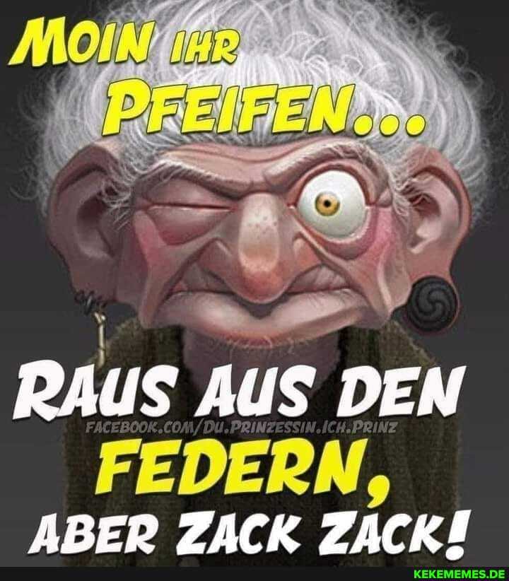 RAUS AUS DEN FEDERN,
ABER ZACK ZACKI