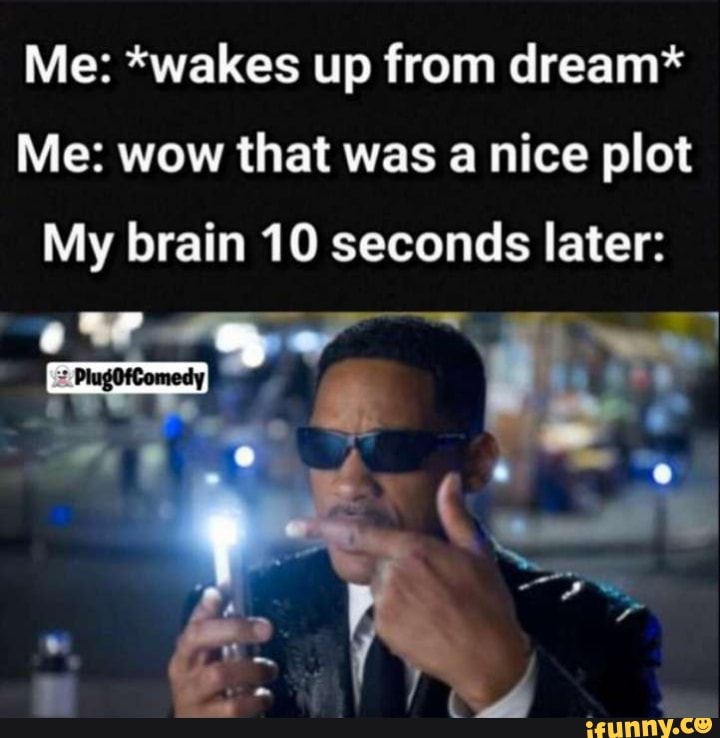 Me: *wakes up from dream*
Me: wow that was a nice plot
My brain 10 seconds later: