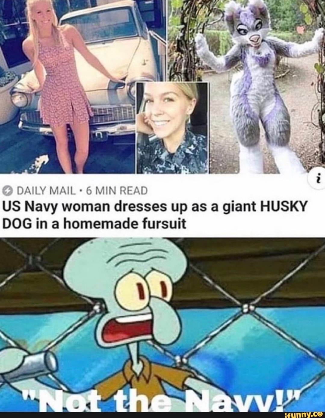 DAILY MAIL 6 MIN READ US Navy woman dresses up as a giant HUSKY DOG in a homemade fursuit
"Not the Navv!"